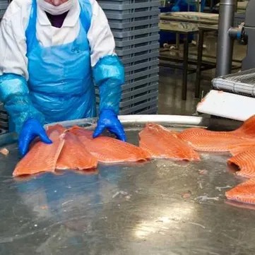 Шоковая заморозка,низькотемпературні камери для переробки риби Запорожье - изображение 1