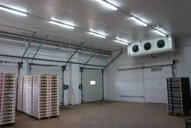 Холодильна камера Тривалого зберігання яєць (встановлення під ключ) Житомир - изображение 1